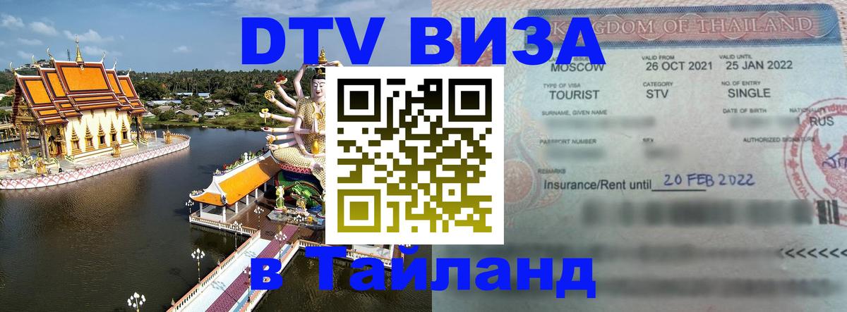 Сколько стоит DTV виза — актуальные цены, оформление даже без документов - Саранск  05.10.2025 
